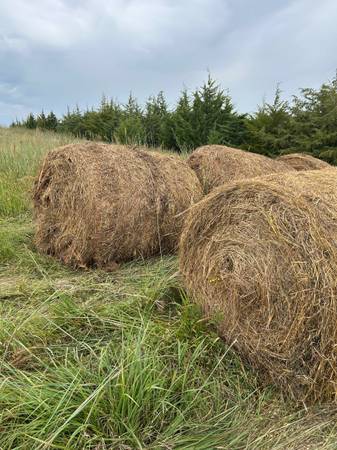 Prairie hay 1