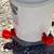 Chicken, automatic water bucket 1 thumbnail
