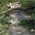 Tree Removal & Stump Grinding 9 thumbnail