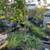 *Plant & Tree Sale* 14 thumbnail