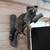 Taxidermy mounts 7 thumbnail