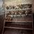Laying hens 1 thumbnail