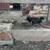 Ducks 4 thumbnail