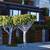 Alex Nizovsky - Sausalito Bridgeway Tiffany Acrylic Painting - 40"x30" 7 thumbnail