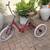 Miami Sun Bike 5 thumbnail
