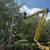 Professional full service tree removal services. 4 thumbnail