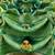 Soothing Water Fountain/ Ceramic Frogs Fountain / Relaxing Fountain 2 thumbnail