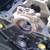 Gen IV Chevy 454 big block 16 thumbnail
