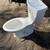 American Standard Toilet 1 thumbnail