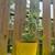 Plant sale 17 thumbnail