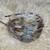 2 Headbands - Feather Fan (metal) & Vintage Button Crown (plastic) ea. 6 thumbnail