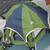 New price-3 Section Ozark Trail mini store display tent 5 thumbnail