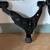 2011 Tacoma 2wd lower control arms 2 thumbnail