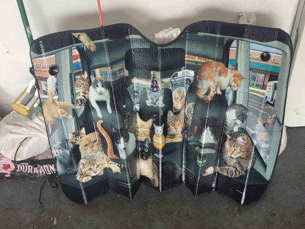 Windshield Sun Shade 1