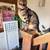 Missing cat 2 thumbnail