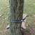 2 Deer Hunting Tree Stands 4 thumbnail