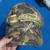 Vintage Hats 2 thumbnail