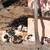 Purebred Kunekune Piglets 4 thumbnail