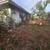 tree removal tree service  tree Trimming Stump grinding property clean 7 thumbnail