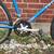 Large Trek Mountain Track 800 Sport Hybrid Bike 12 thumbnail