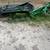 Frontier disc mower & manure spreader 2 thumbnail