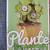 Mini Potted Plants Building Blocks Sets, $1 Each, 9 Available. 10 thumbnail