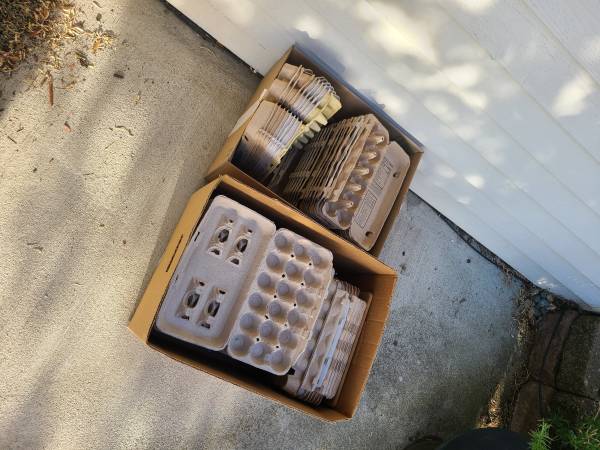 Egg cartons - free 1