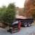 MD Licensed Tree Expert / Tree & Stump Removal / Pruning 3 thumbnail