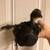 CHICKS FEMALE PULLETS for Sale 1 thumbnail