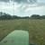 Lot mowing and Disking Tractor Services 4 thumbnail
