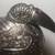 Antique Silver Hammered Cambodia Khmer Bird Betel Nut 2 thumbnail