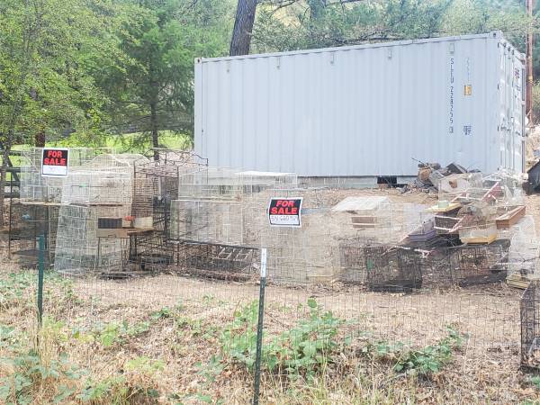 Bird cages 1
