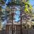 Centrally located single level house with mature Ponderosa Pines 5 thumbnail