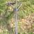 New Titan tractor 3 point boom pole cat 1 and 2 2 thumbnail