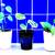 Three Unique Houseplants in Ceramic Pots 1 thumbnail