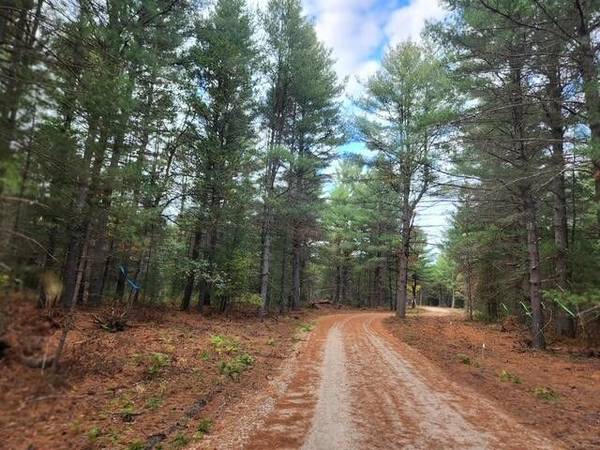 $52,900 4.79 Acres in Baldwin! Perfect building spot for peaceful living!! (Baldwin)64308162497921121