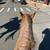 Red dun roan gelding 4 thumbnail