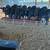 Brangus heifers 5 thumbnail