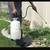 LANDSCAPING YARD CLEAN UPS AND TREE TRIMMING AVAILABLE IN ALL LASVEGAS 9 thumbnail