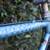 Vintage Peugeot Blue Sport 103 Road Bike Made in France 7 thumbnail