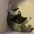 Kitty cats 5 thumbnail