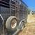 Horse trailer 9 thumbnail