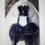 25’ Rowing Scull + $1,000.00 Dreher Carbon Fiber Oars, Save $6062.50! 4 thumbnail