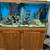fish tank 1 thumbnail