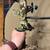 PSE compound Bow 2 thumbnail