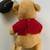 Vintage '1981 Grad Nite' Disney Winnie the Pooh Bear 12 thumbnail