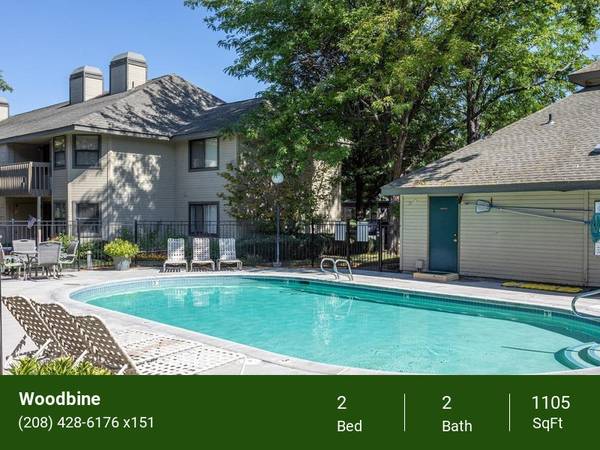 LVP Flooring, Updated Cabinets, Patio or balcony, Clubhouse 1