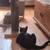 Cat scratch post 2 thumbnail