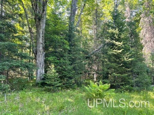 $22,000 .92 Almost an acre MLS 50186730 (Florence T-WI)64151610507139124