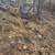 Concrete repair & masonry contractor 13 thumbnail